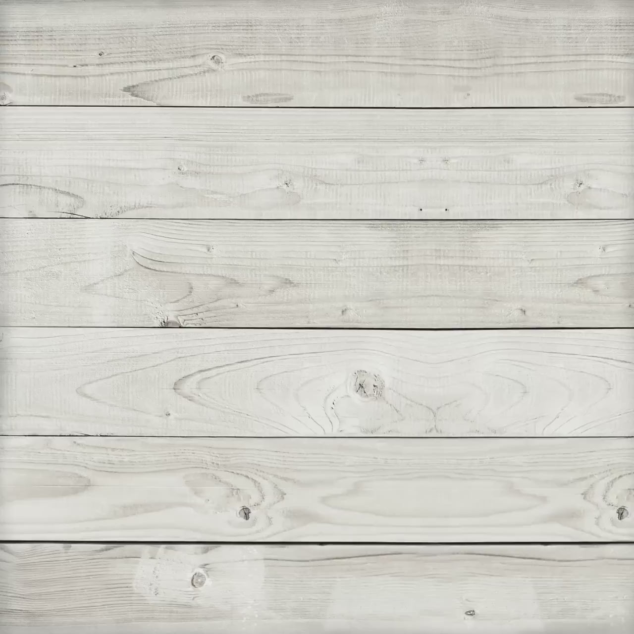 Christmas Money Card Holder: Polar Bear, Rabbit, Moose Edition